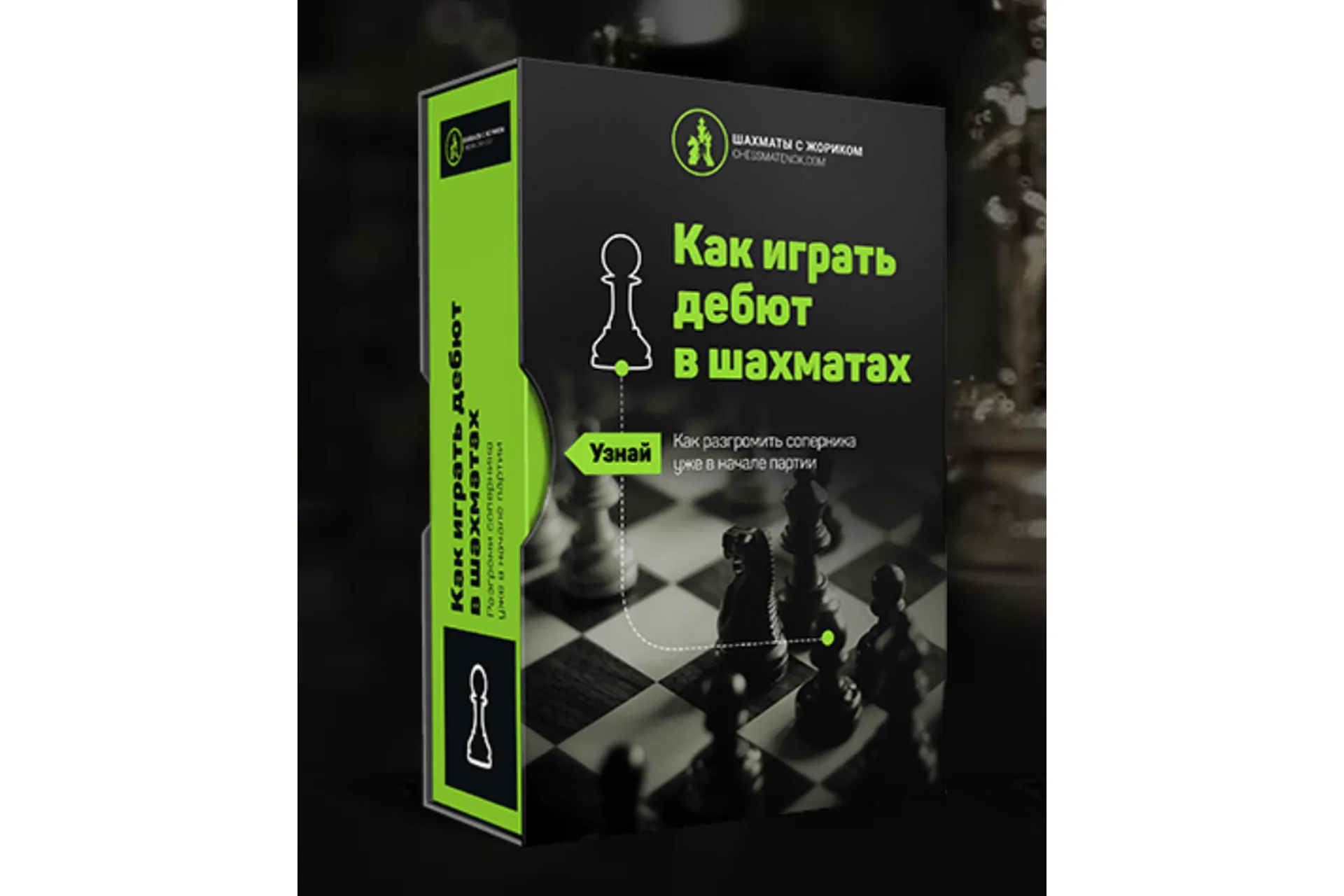 [Шахматы с Жориком] Как играть дебют в шахматах  (Роман Ежов), фото 1 из 1.