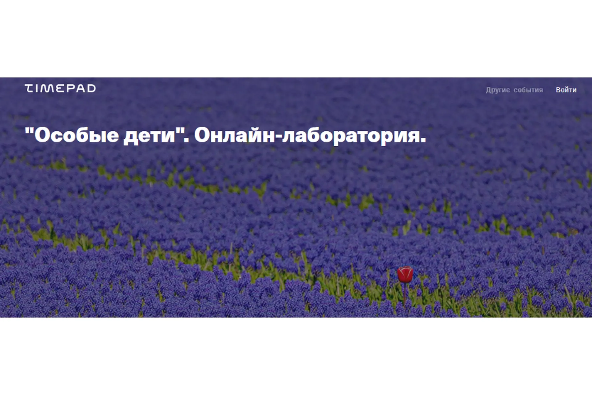 [Timepad] «Особые дети». Онлайн-лаборатория (Елена Веселаго), фото 1 из 1.