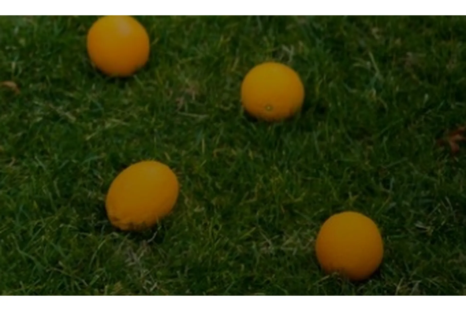 Влияние системы питания ребенка на развитие его психики (Марианна Лынская, Екатерина Несова), фото 1 из 1.