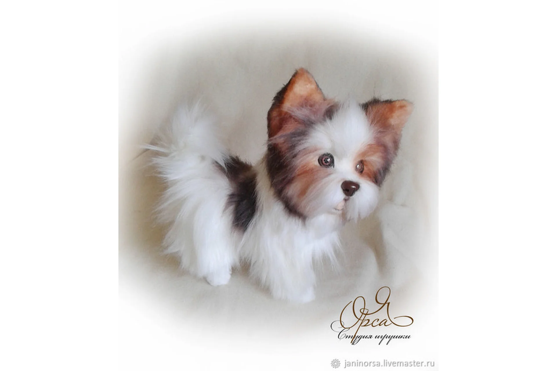 Йорк / биверйорк стиль натюр  (Янина Орса), фото 1 из 1.