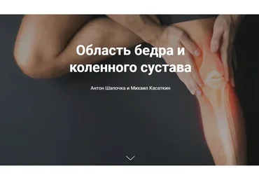 [KinesioCourse] Область бедра и коленного сустава (Михаил Касаткин, Антон Шапочка)