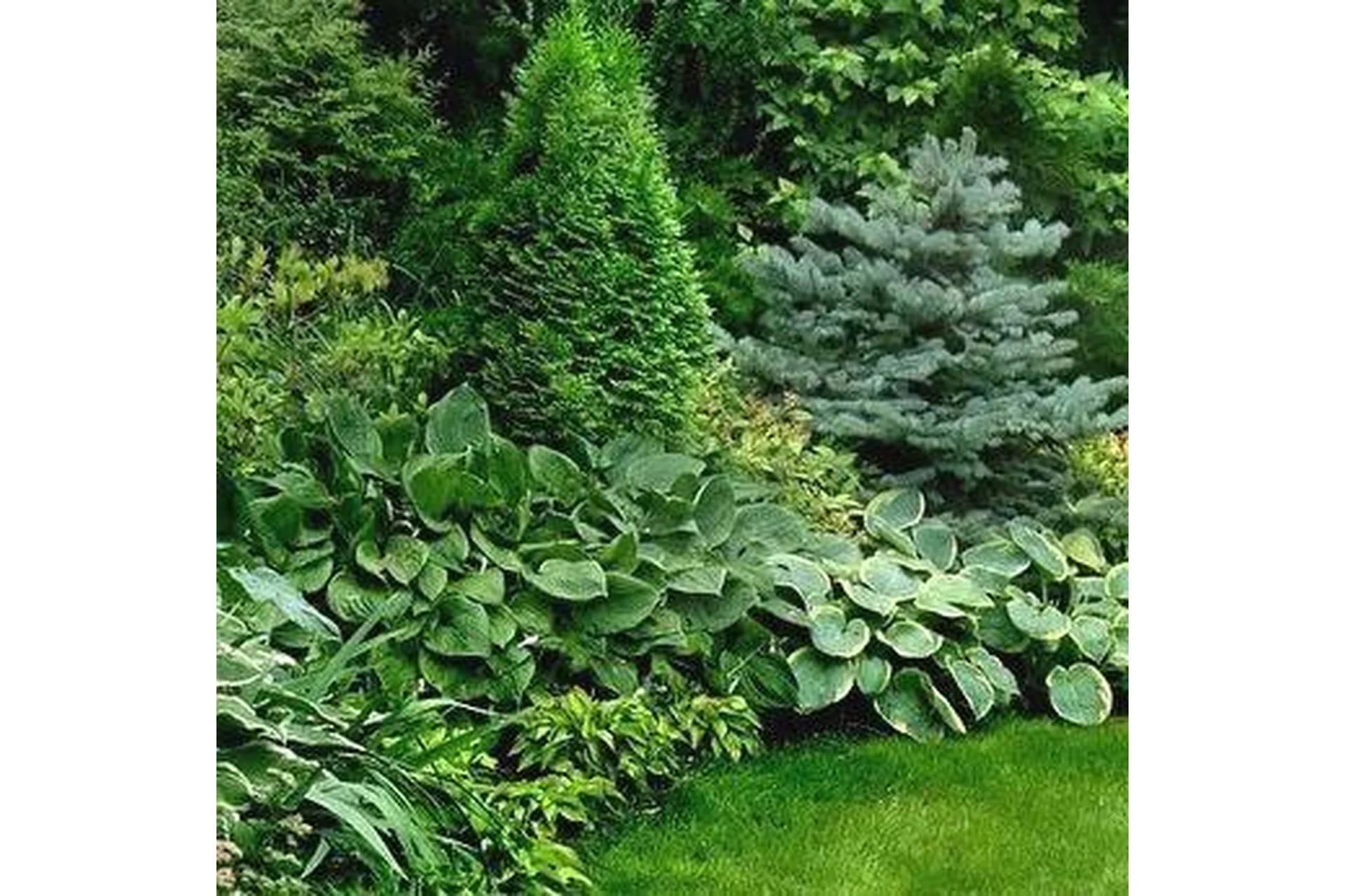 [Школа Ландшафтного Дизайна] Растительные композиции (Оксана Хлебородова), фото 1 из 1.