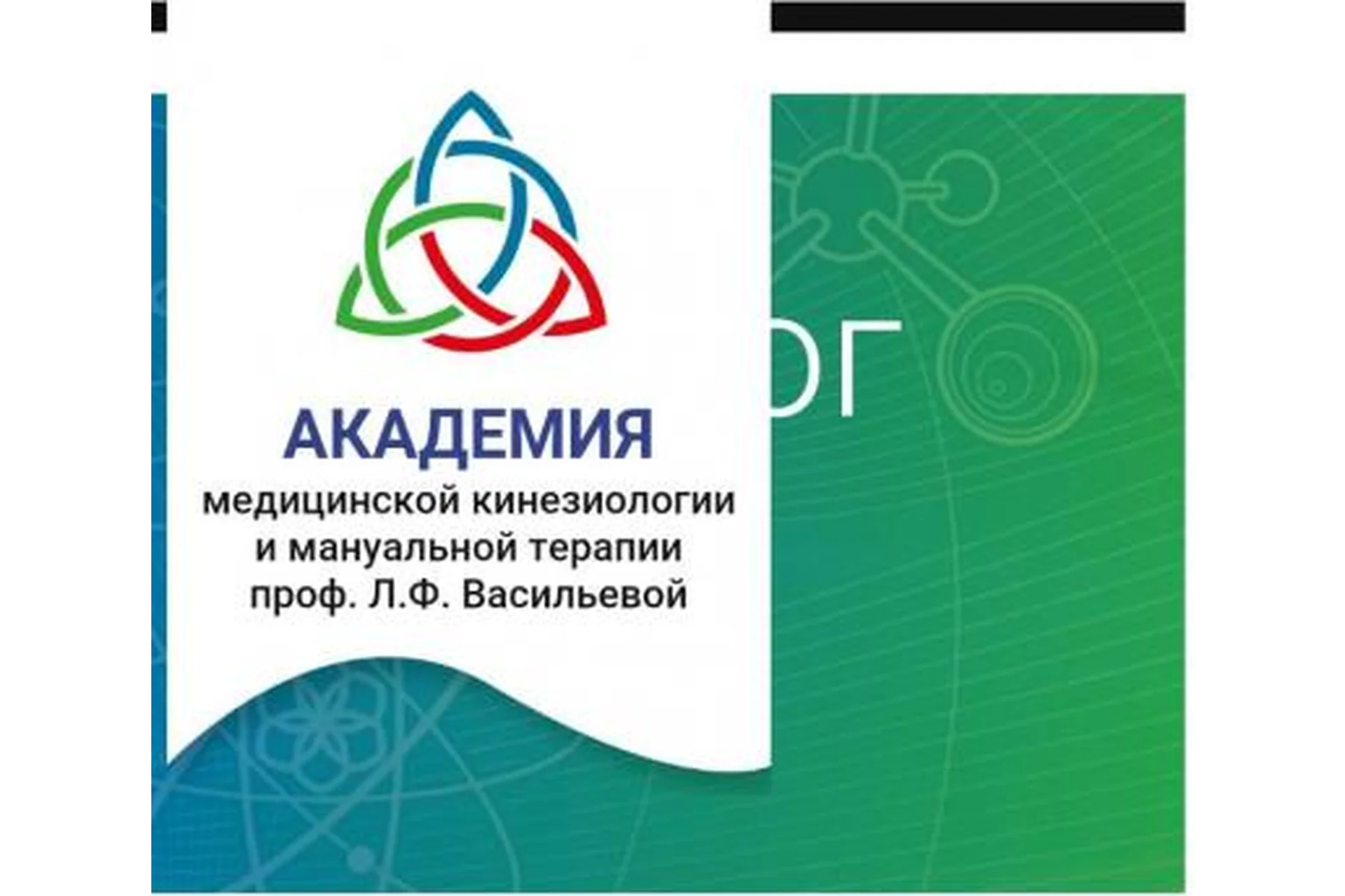 [Kinesioprofi] Академия прикладной кинезиологии, 3 курc (Людмила Васильева), фото 1 из 1.