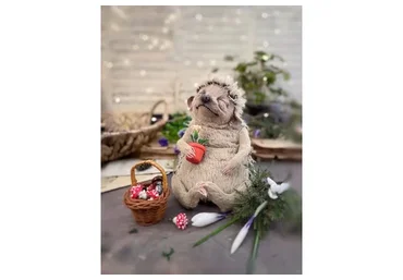 Ёжик (Татьяна Баканова)