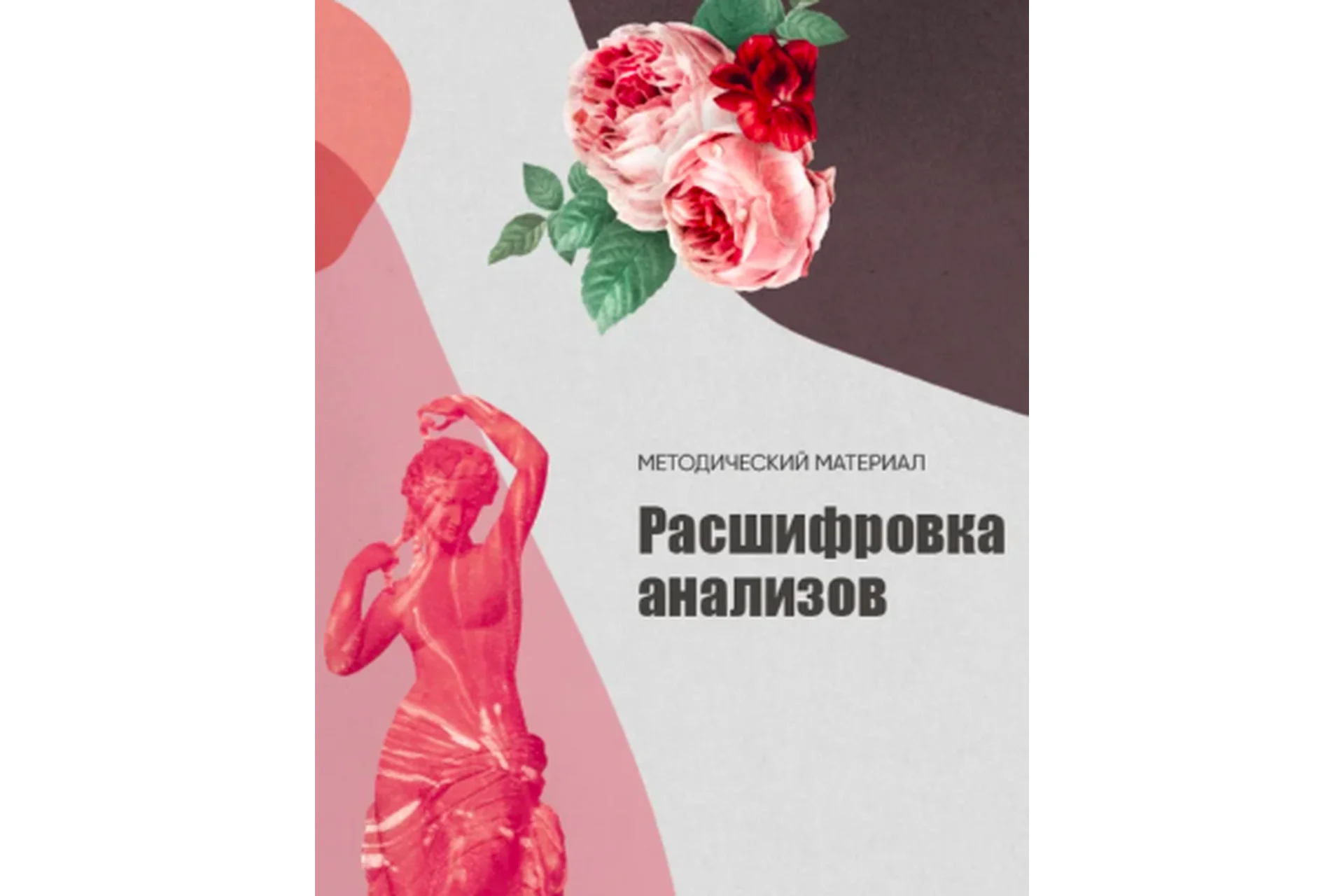 Методичка "Расшифровка анализов" (Инна Рудович), фото 1 из 1.