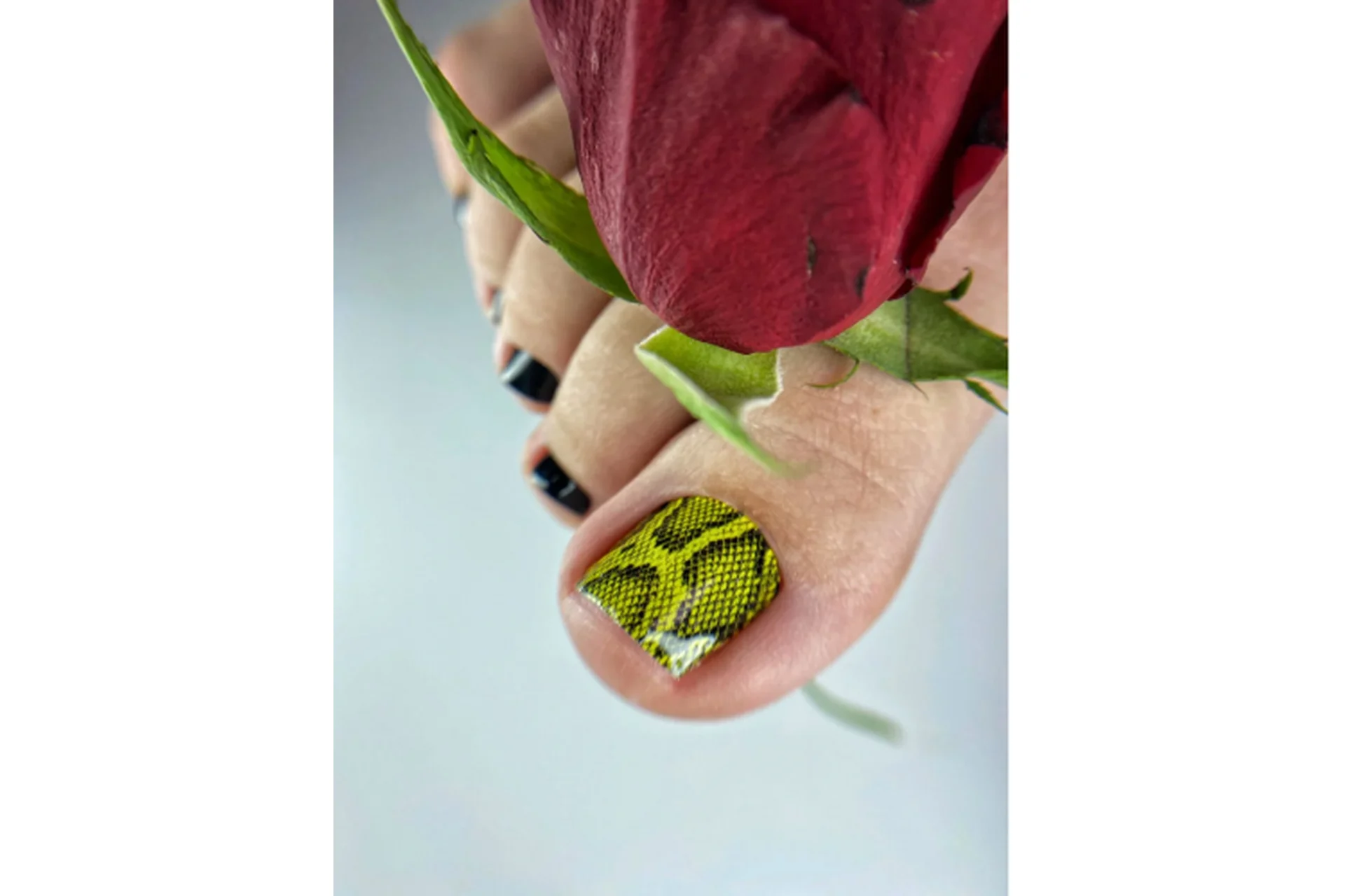 Эротика педикюра. Стандартный (Анна Никулина), фото 1 из 1.