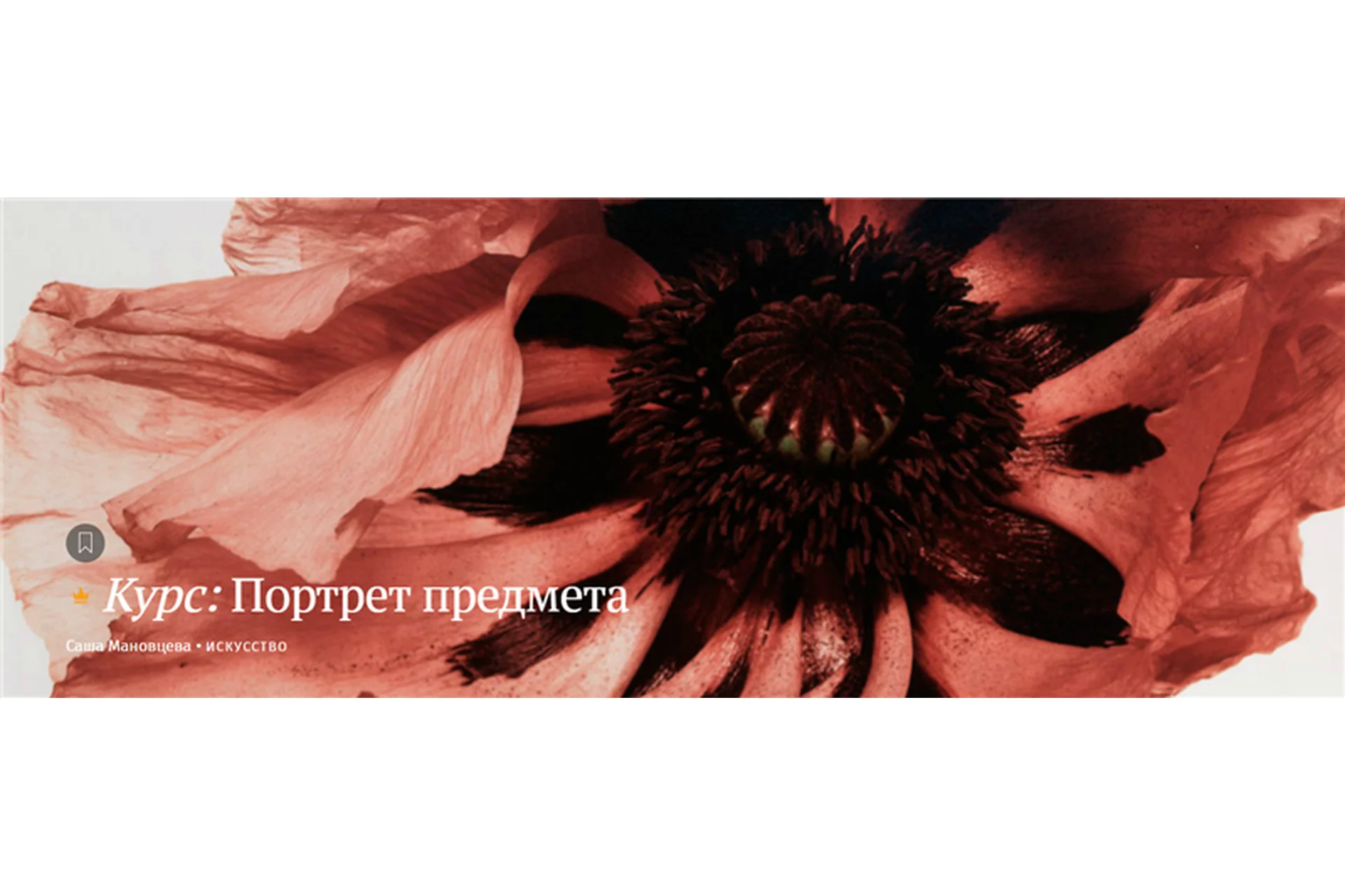 [Магистерия] Портрет предмета (Саша Мановцева), фото 1 из 1.