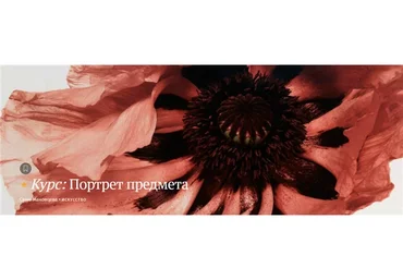 [Магистерия] Портрет предмета (Саша Мановцева)