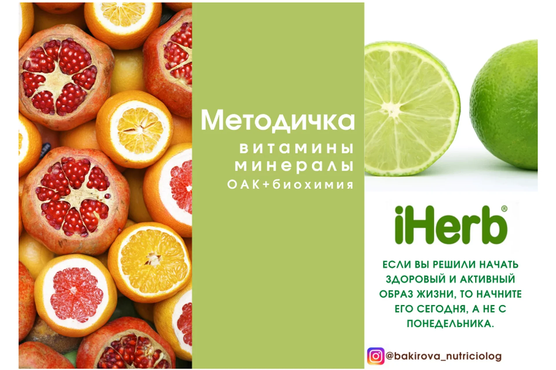 Методичка Витамины и минералы ОАК + биохимия  (Анастасия Бакирова), фото 1 из 1.