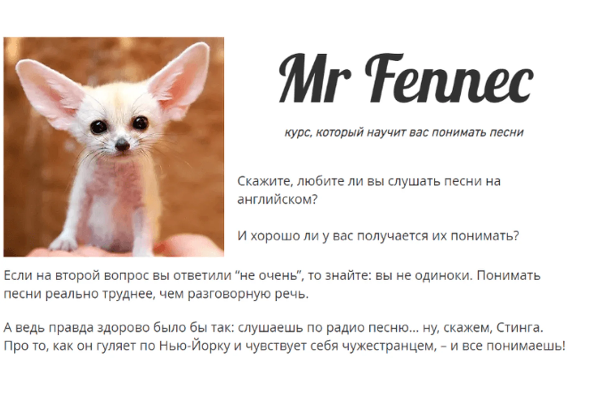 Mr Fennec (Антон Брежестовский), фото 1 из 1.