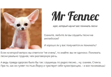Mr Fennec (Антон Брежестовский)