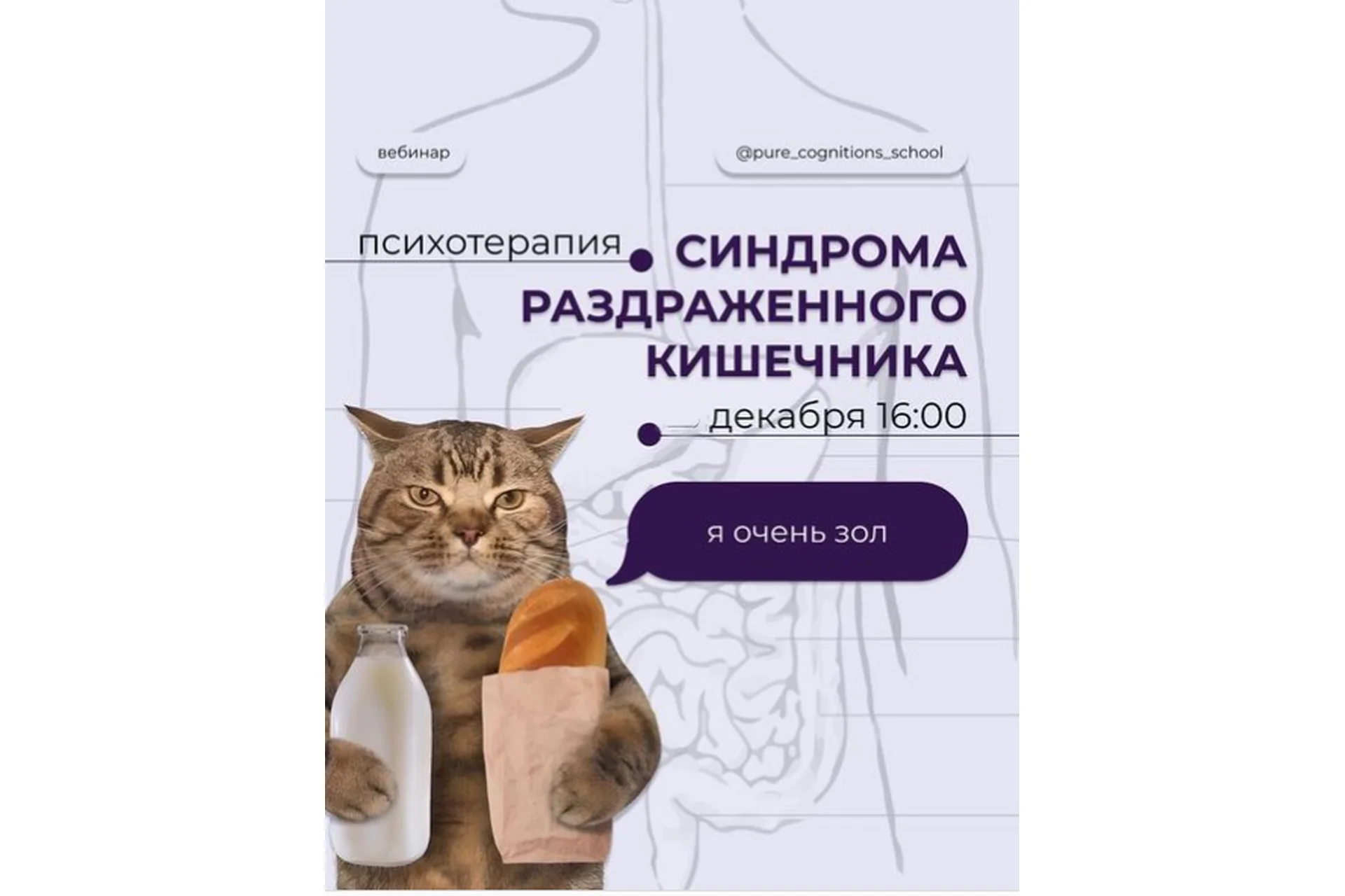 Психотерапия синдрома раздраженного кишечника (pure_cognitions_school), фото 1 из 1.