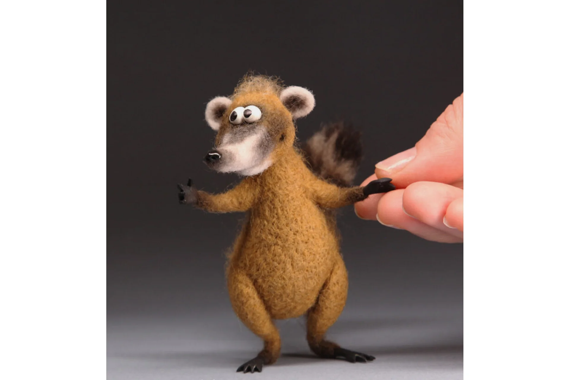 [acicularis]  Носуха (Ирина Егорова), фото 1 из 1.