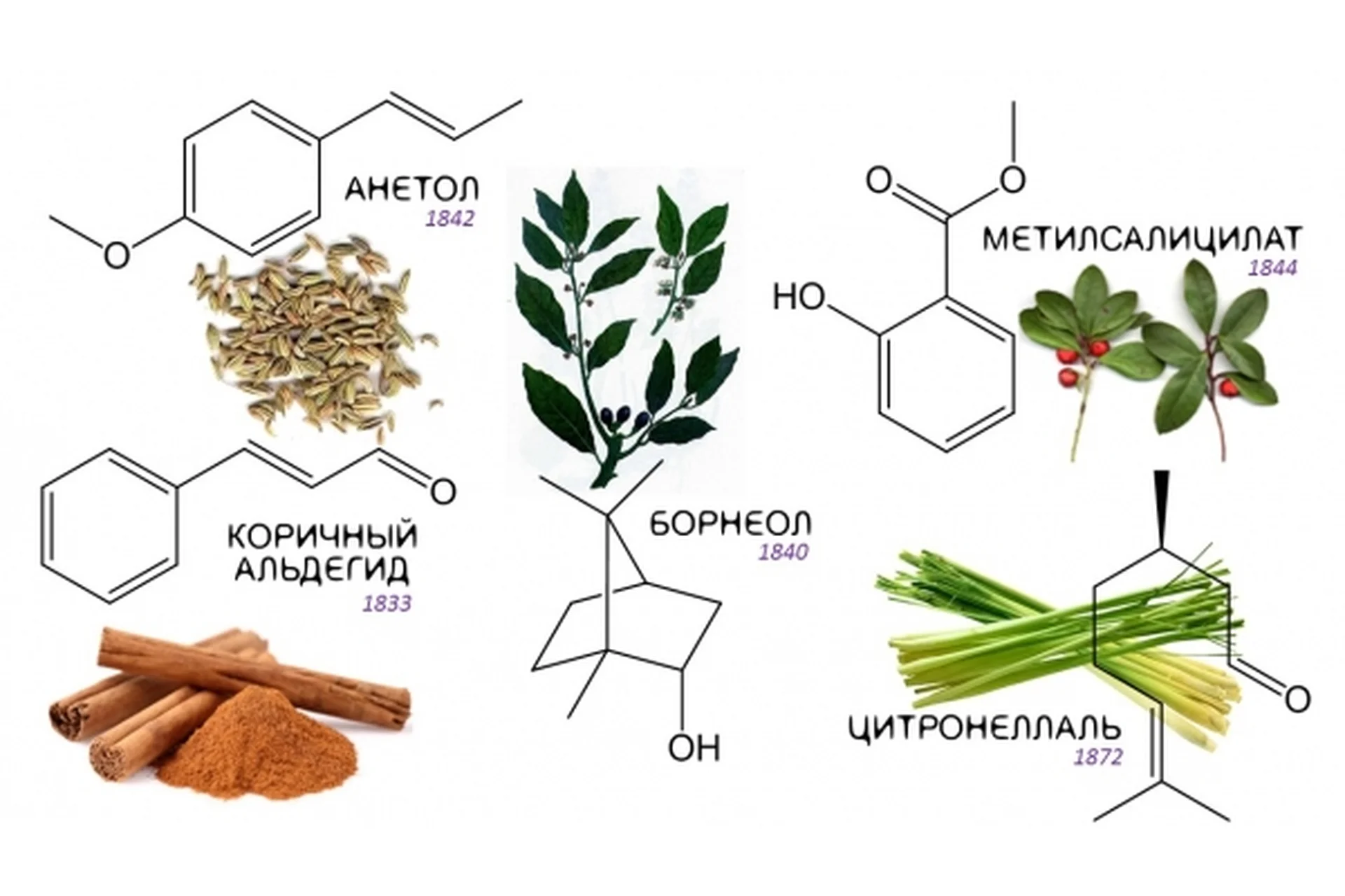 [Астарта] Химия эфирных масел  (Анна Семенова), фото 1 из 1.