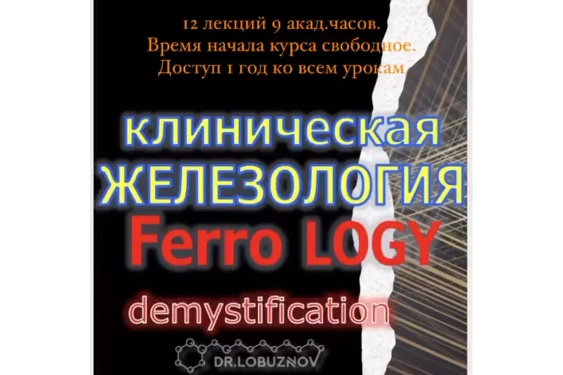 Клиническая железология (Андрей Лобузнов), фото 1 из 1.