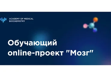 Обучающий online-проект «Мозг» (Елизавета Радевич)