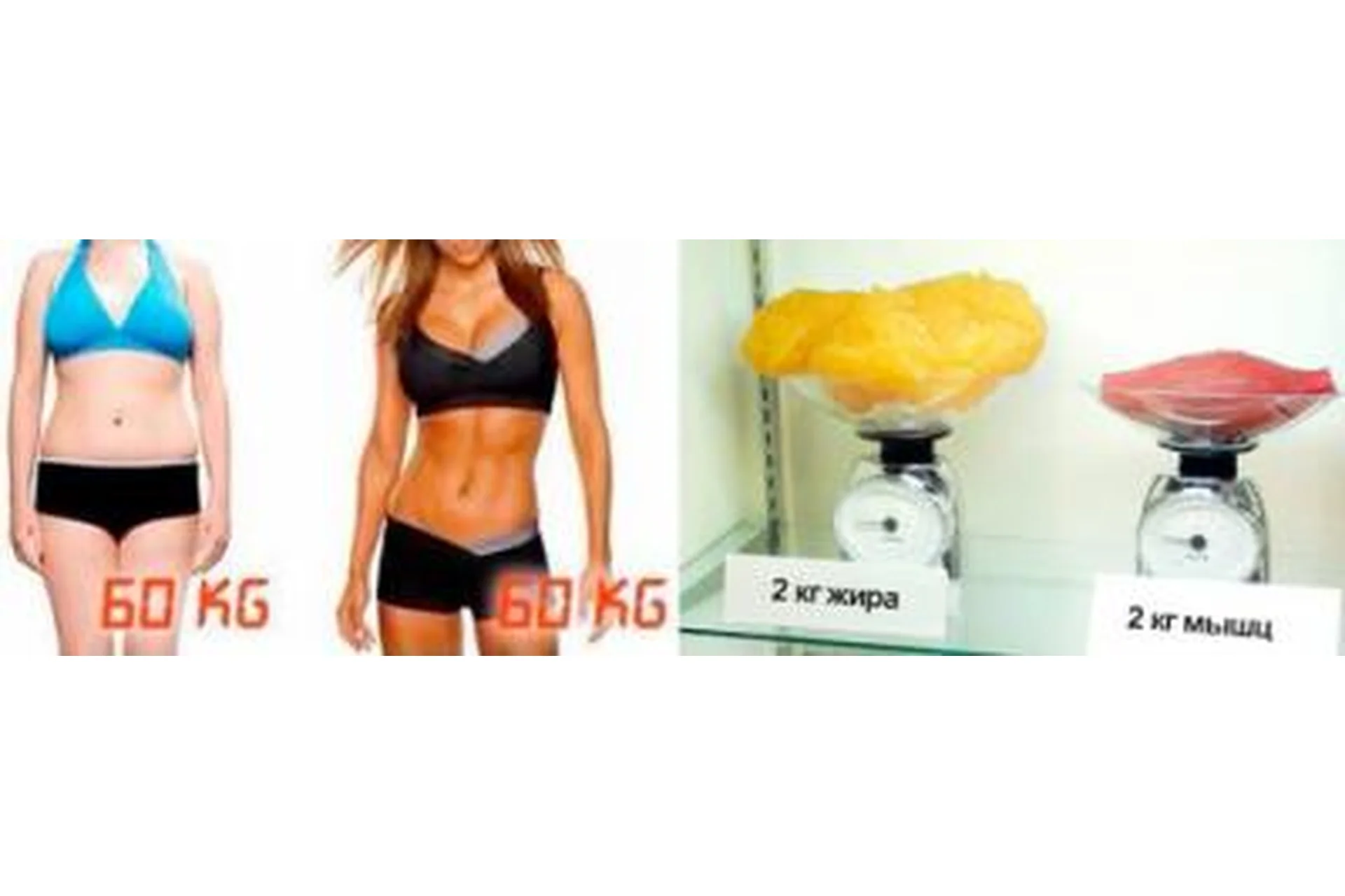 Как похудеть навсегда (Елена Павлова, Галина Иевлева, Йосеф Айзенберг), фото 1 из 1.