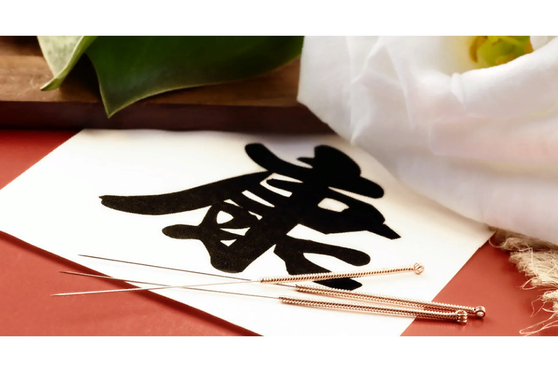 Лечение бессонницы методами традиционной китайской фармакологии и иглоукалыванием (Сергей Зайцев), фото 1 из 1.