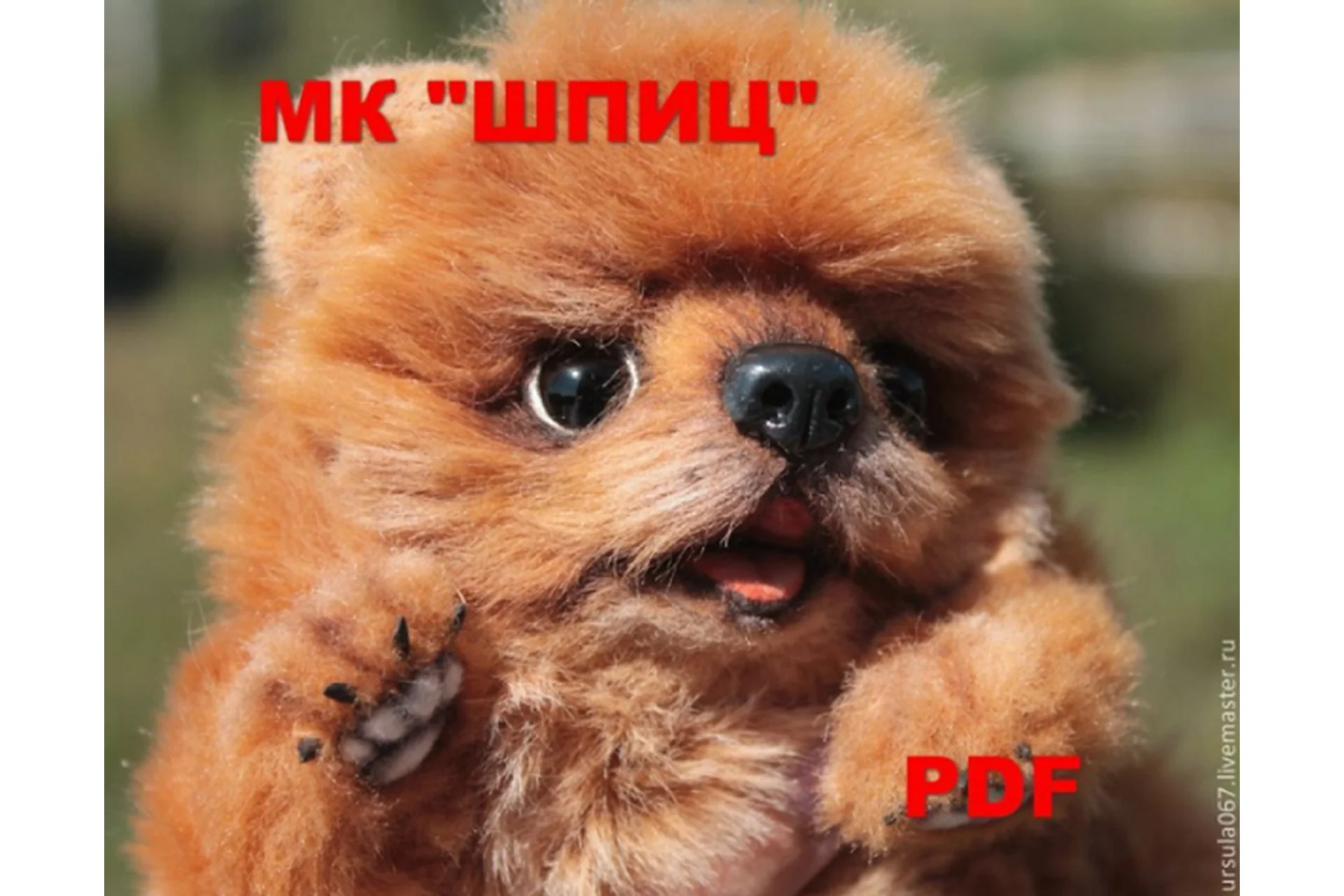 Шпиц (Светлана Гуменникова), фото 1 из 1.