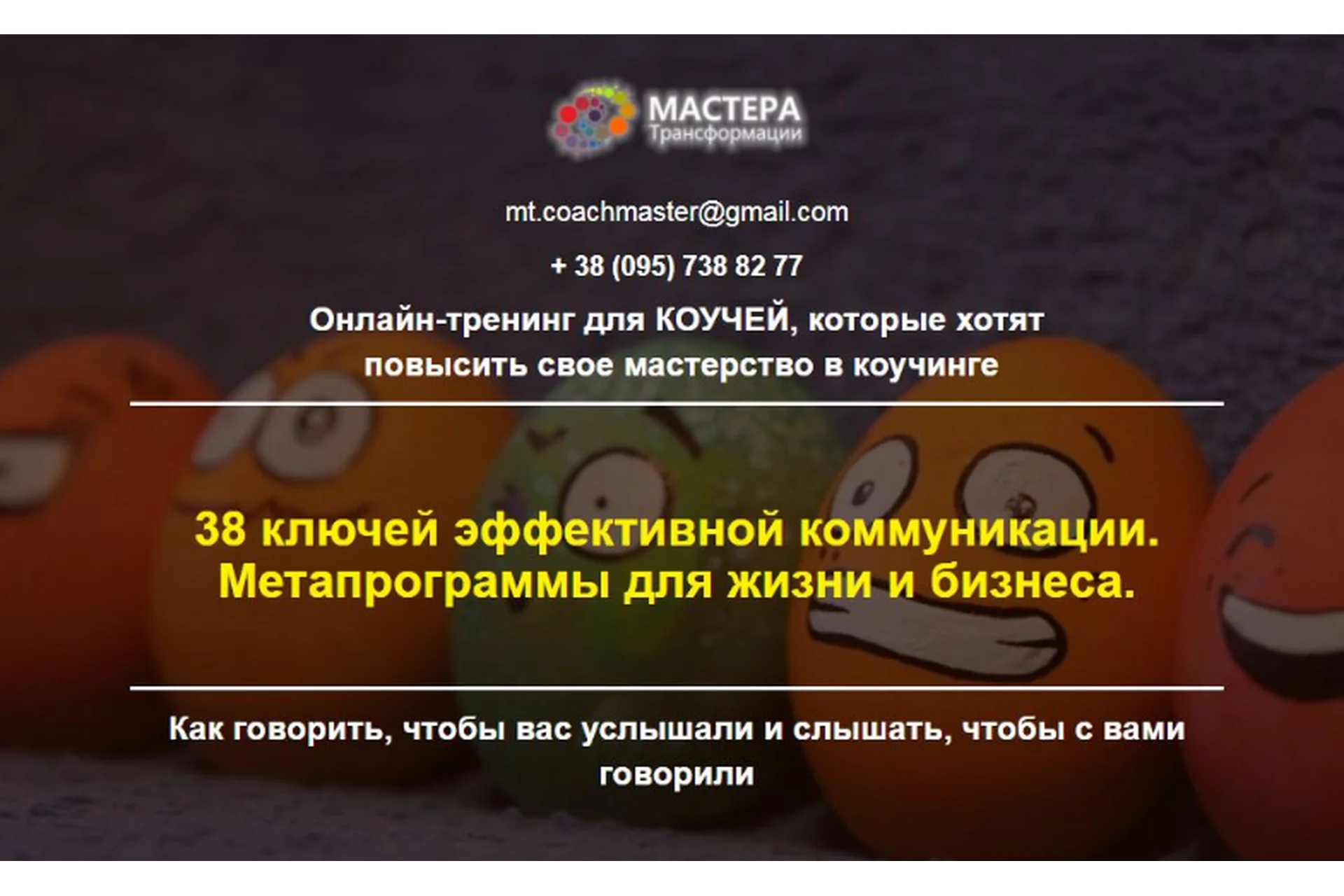 38 ключей эффективной коммуникации. Метапрограммы для жизни. Пакет Практик (Лидия Радичи-Шпаковская), фото 1 из 1.