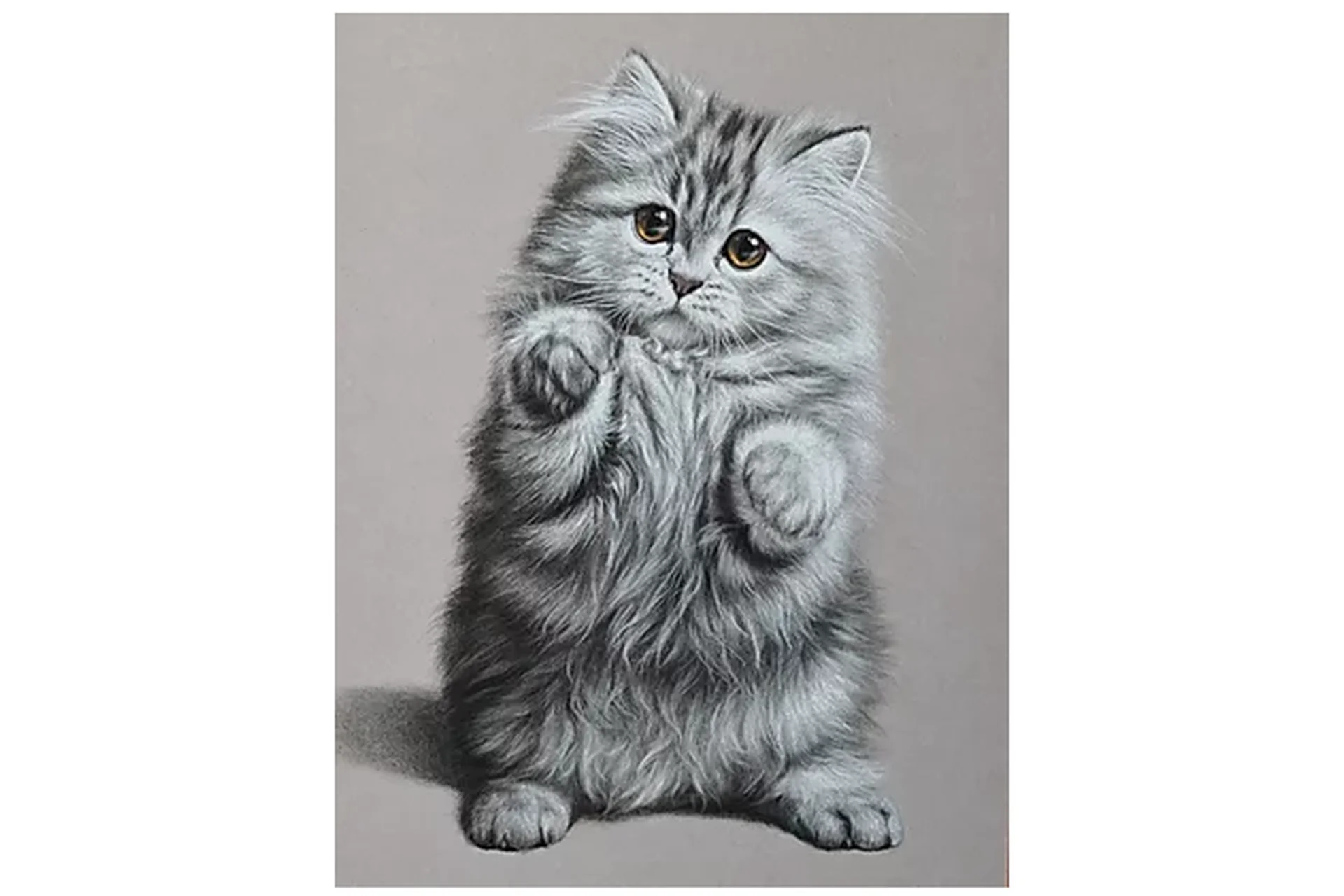 Пастельная живопись. Котенок. Кошачьи (Юлия Дубинина), фото 1 из 1.