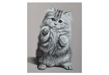 Пастельная живопись. Котенок. Кошачьи (Юлия Дубинина)