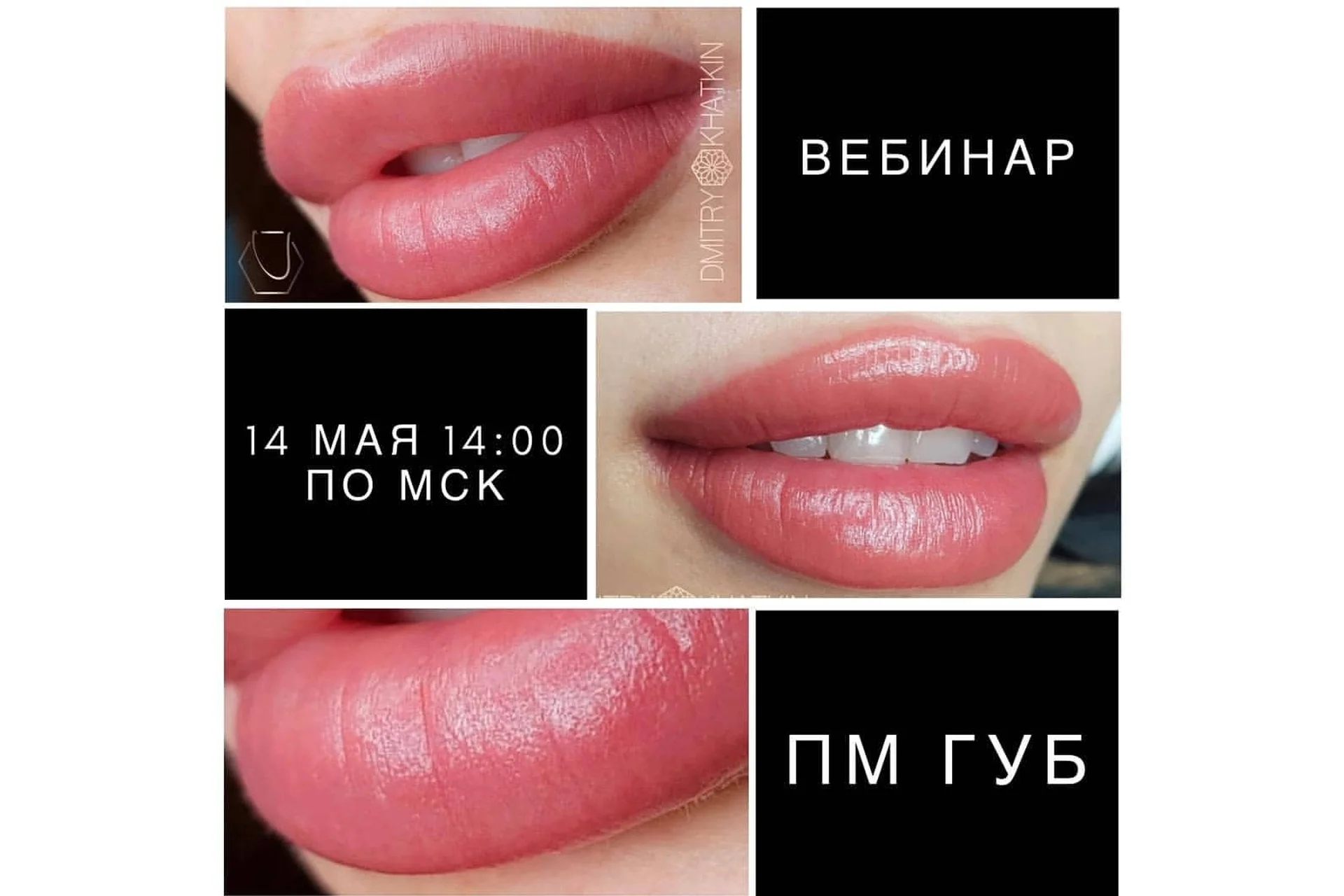 ПМ губ (Дмитрий Хаткин), фото 1 из 1.