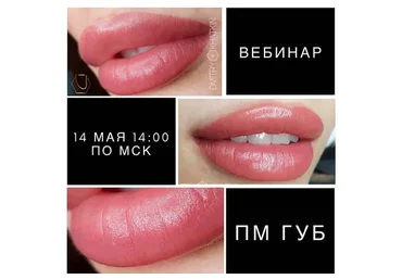 ПМ губ (Дмитрий Хаткин)