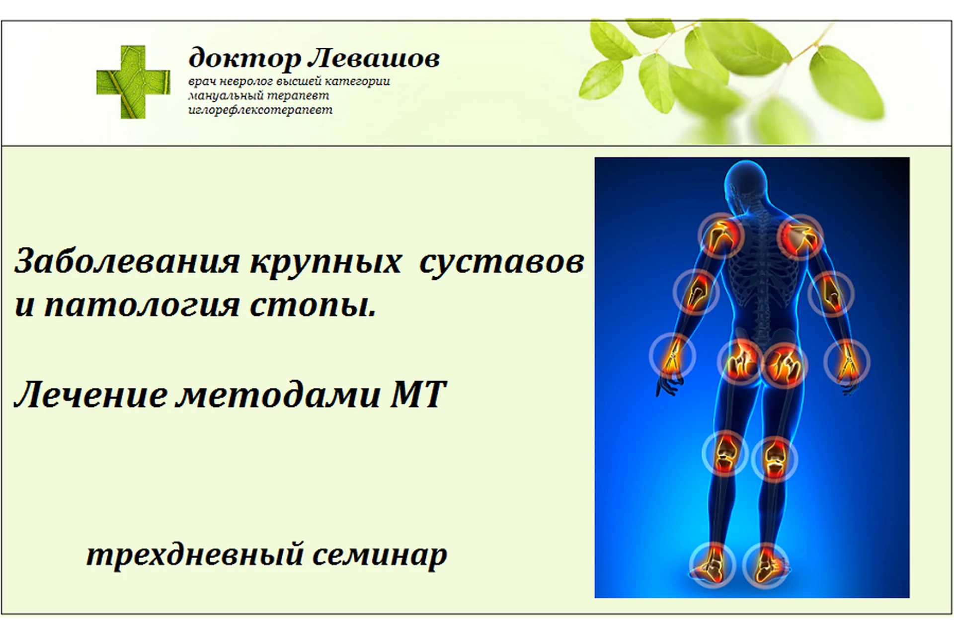 Заболевания крупных суставов и патология стопы. Лечение методами МТ (Игорь Левашов), фото 1 из 1.
