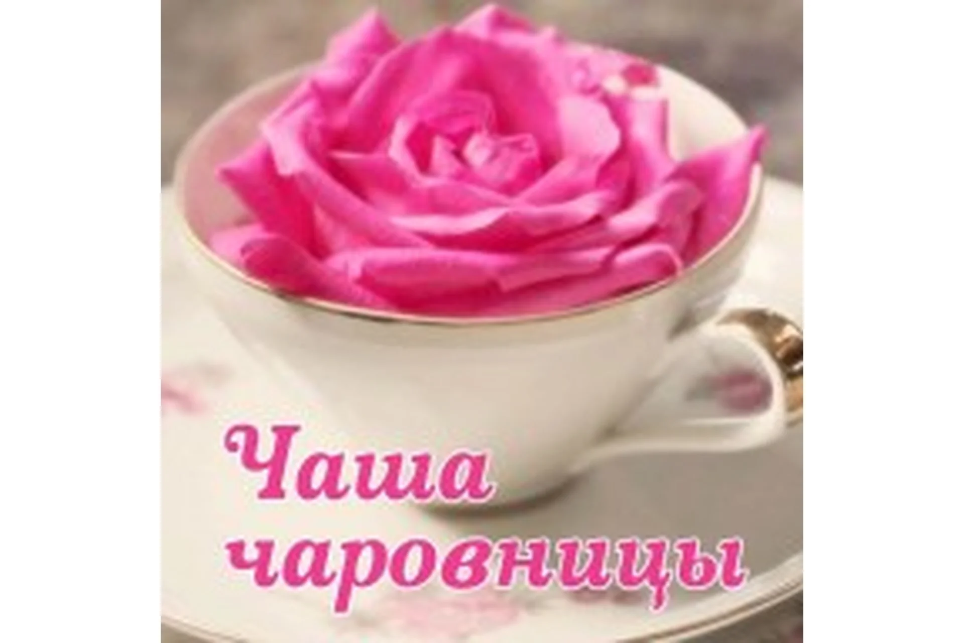 Чаша чаровницы (Алена Полынь), фото 1 из 1.