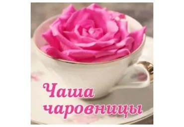 Чаша чаровницы (Алена Полынь)