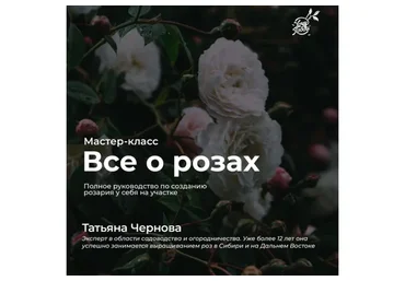 [ХочуХобби] Все о розах. Пакет - Самостоятельно (Татьяна Чернова)