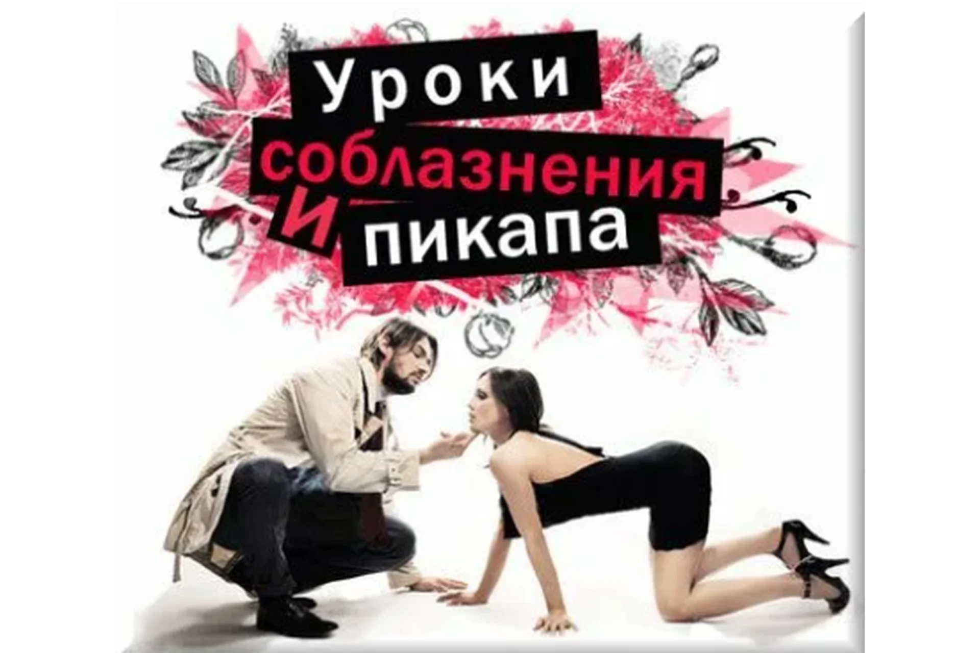 Уроки соблазнения и пикапа. 2013 (Иван Веденин), фото 1 из 1.