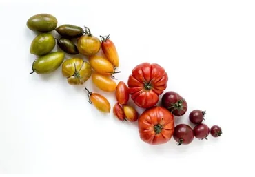 Фитонутриенты: Еда как лекарство. Практический курс по функциональному питанию (Юлия Мальцева)