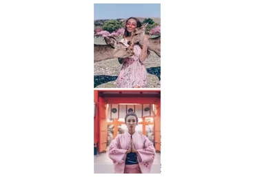 Пресеты Japan Collection (Анюта Рай, Сергей Кабанков)