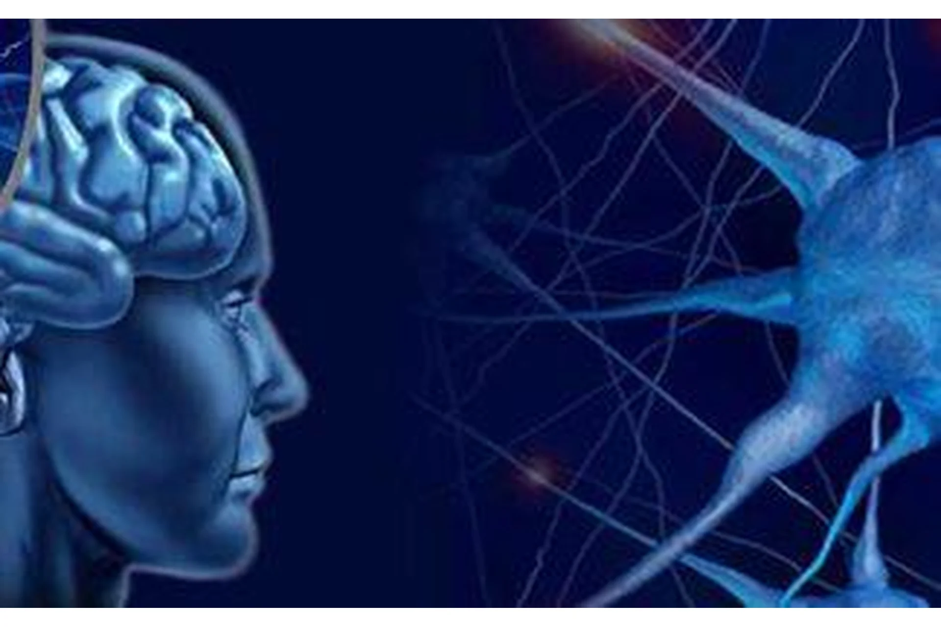 Остеопатические техники на головном мозге и черепно-мозговых нервах (Жан-Пьер Барраль), фото 1 из 1.