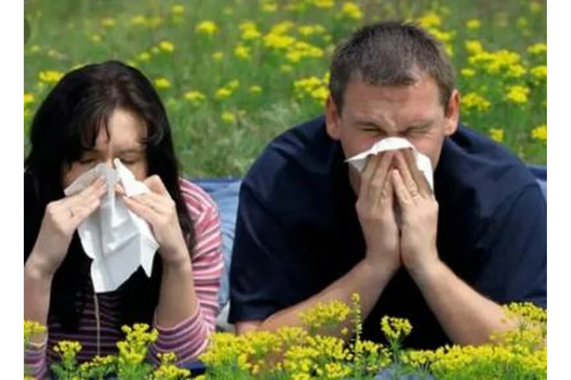 [Rubulat] Избавление от аллергии, астмы, поллиноза, дерматита, псориаза и экземы (Алексей Маматов), фото 1 из 1.