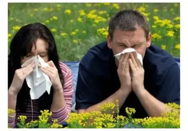 [Rubulat] Избавление от аллергии, астмы, поллиноза, дерматита, псориаза и экземы (Алексей Маматов)