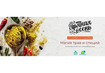 [Awaken School] Пряная осень, тариф базовый (Елена Богданова)