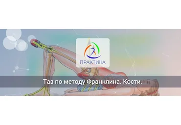 [Центр Практика] Таз по методу Франклина. Кости (Людмила Бабанская)