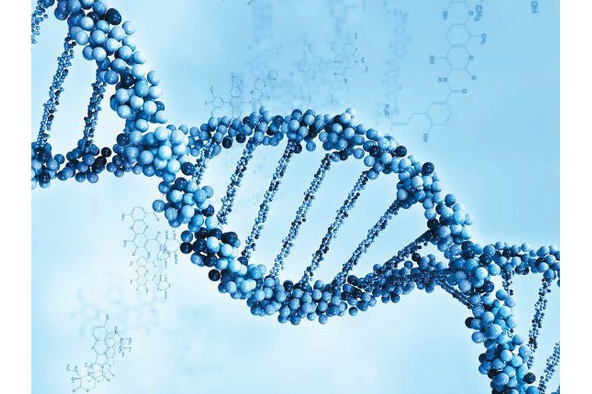 [Hautfuture] Тело знает. Весь курс (Екатерина Гарцева), фото 1 из 1.