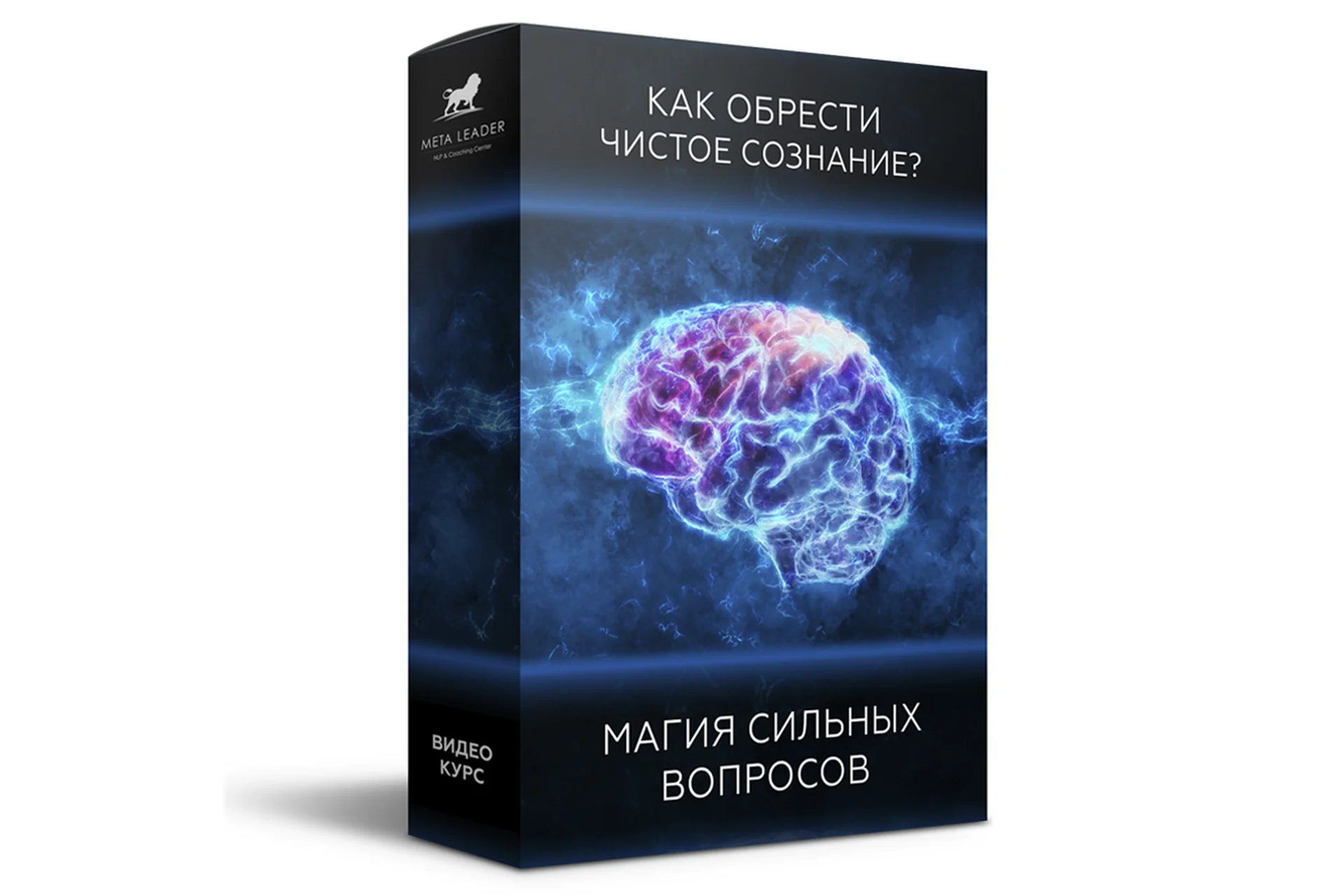 [Meta Leader] Магия сильных вопросов - как обрести чистое сознание (Кирилл Прищенко), фото 1 из 1.
