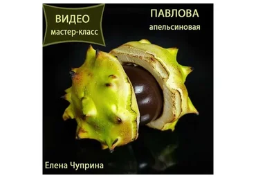 Апельсиновая Павлова (Елена Чуприна)