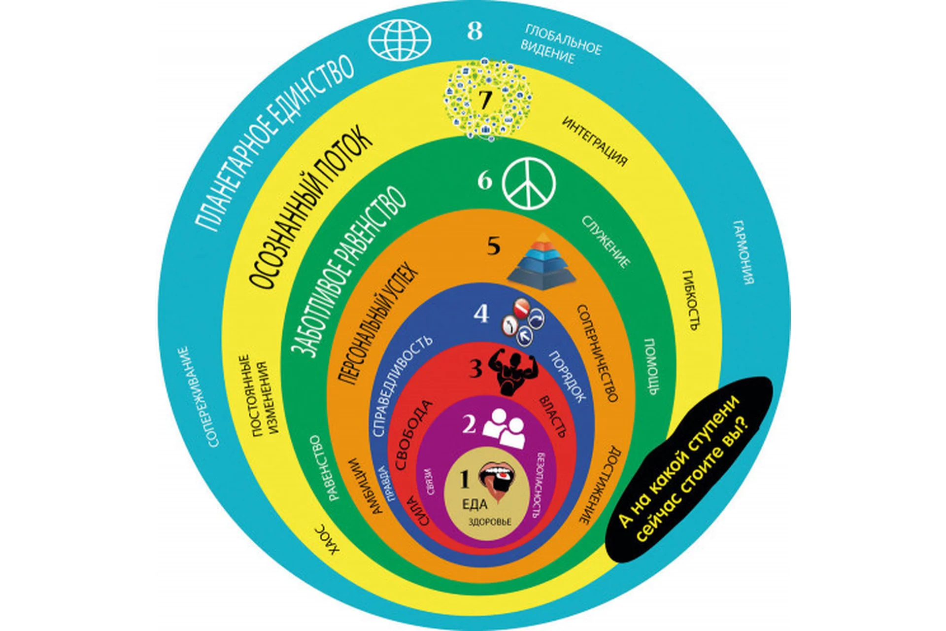 Предназначение. Спиральная динамика для развития (Алексей Кройтор), фото 1 из 1.