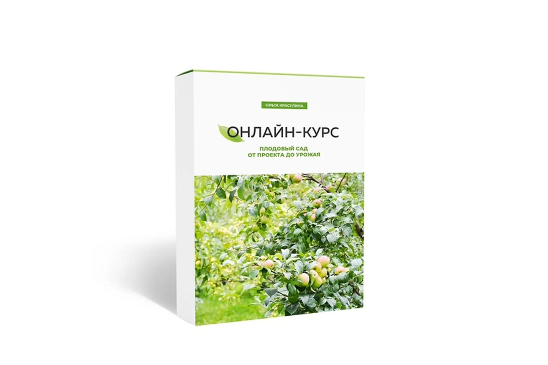 Плодовый сад: от проекта до урожая (Ольга Красулина), фото 1 из 1.