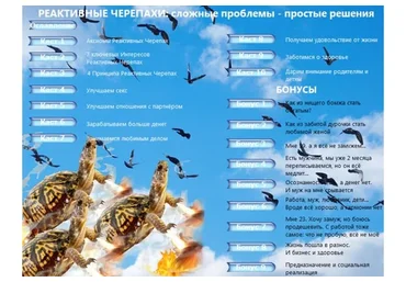 Реактивные черепахи (Алекс Архат)