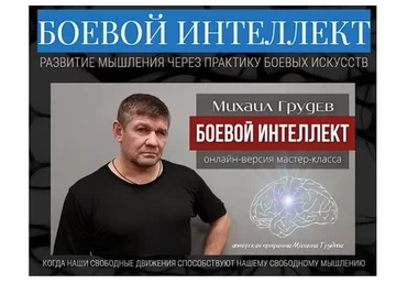 Боевой интеллект (Михаил Грудев)