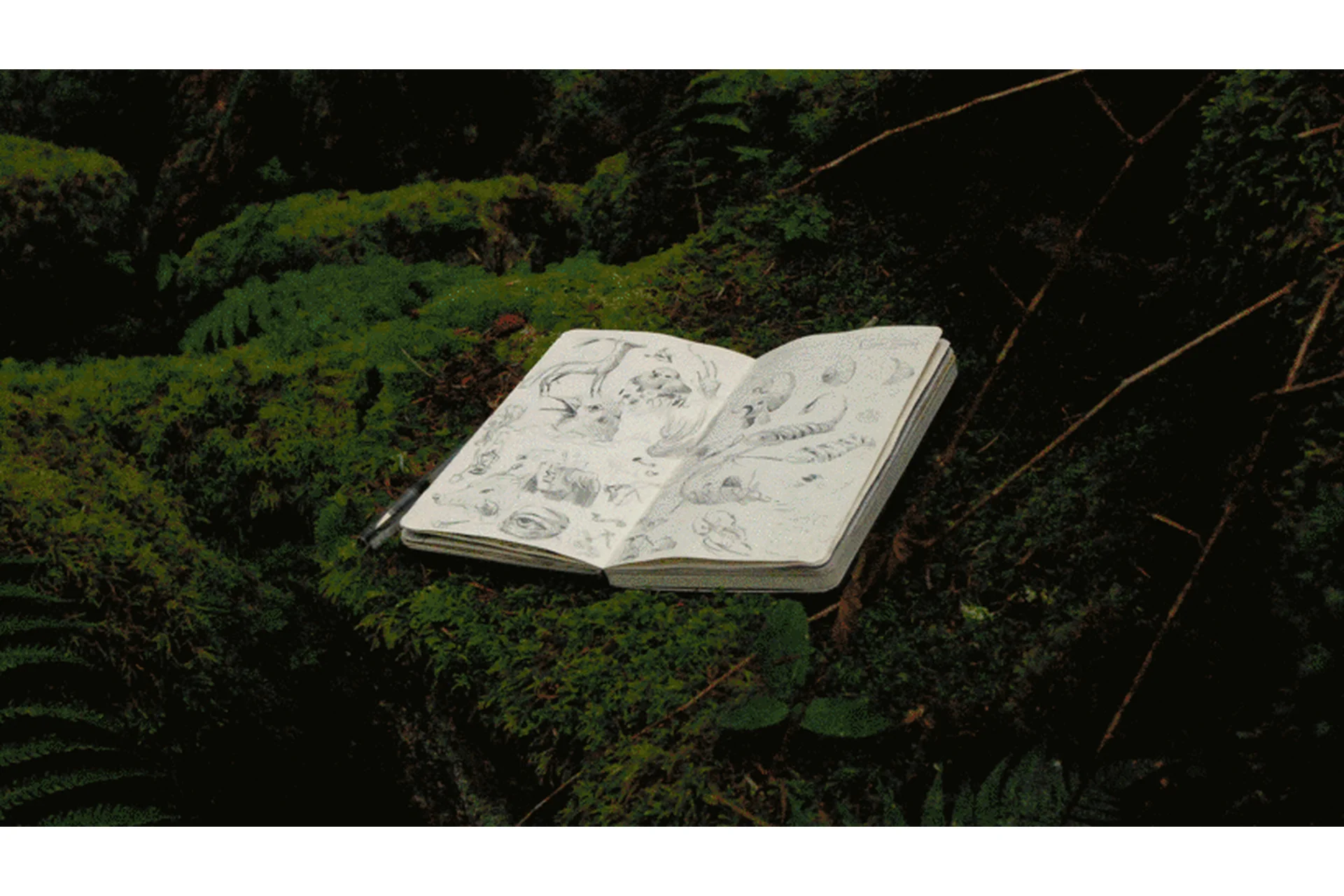 [Domestika] Причудливый блокнот для зарисовок: Рисуем воображаемых существ (Vorja Sanchez), фото 1 из 1.