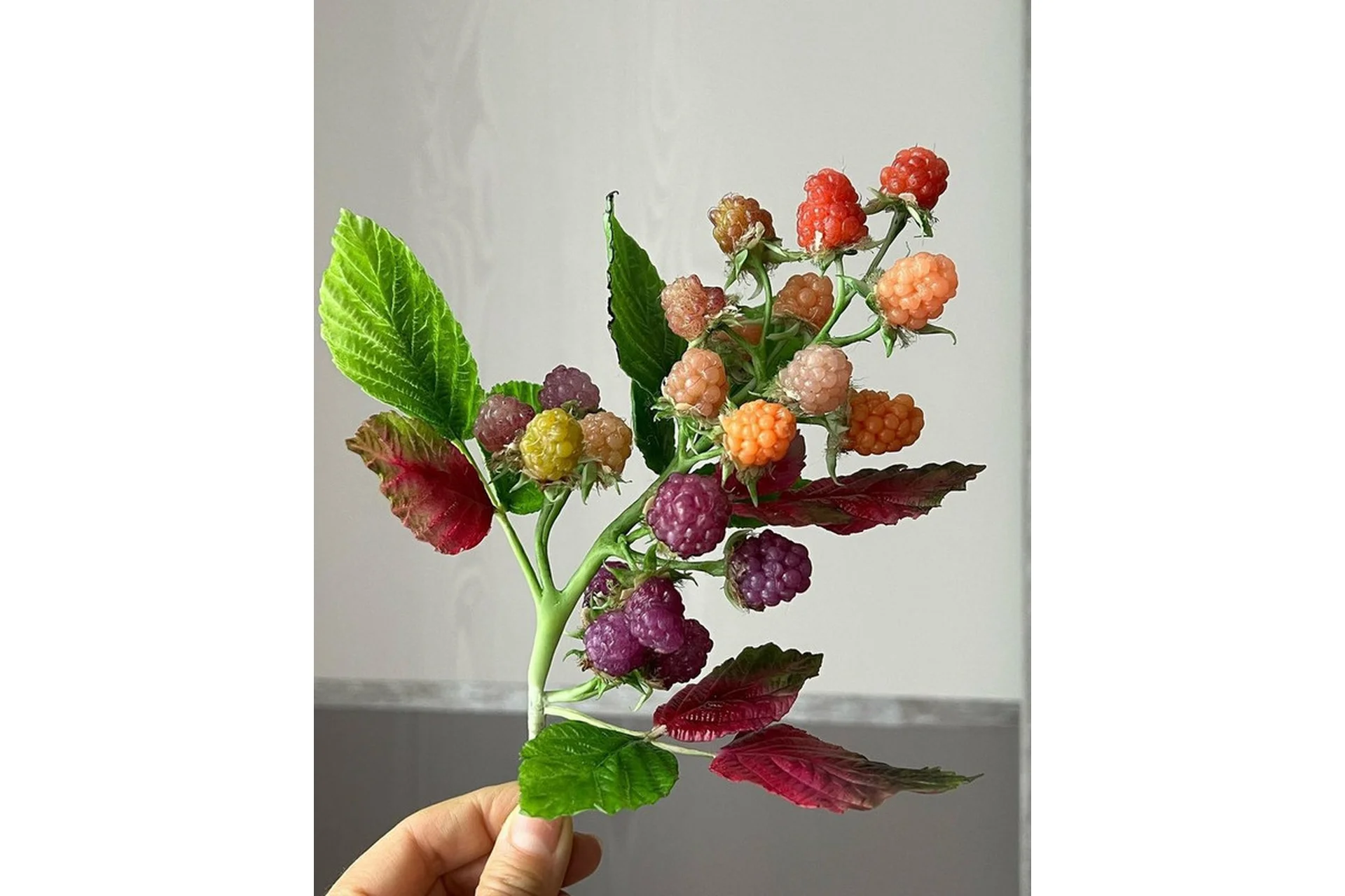 Лепка и тонировка ягод (Татьяна Харламова), фото 1 из 1.