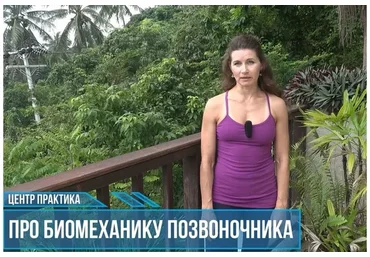 Про позвоночник (Елена Волкова)